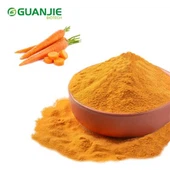 Polvere di carota sfusa