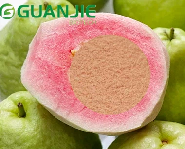 Guava Fruit Powder Guava Fruit Powder