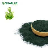 Polvere di spirulina cruda